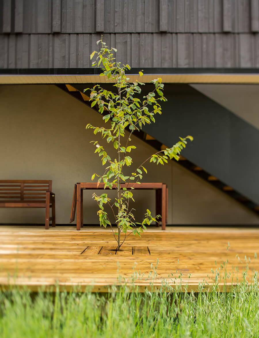 Domaine Forget student residences - Circum Architecture